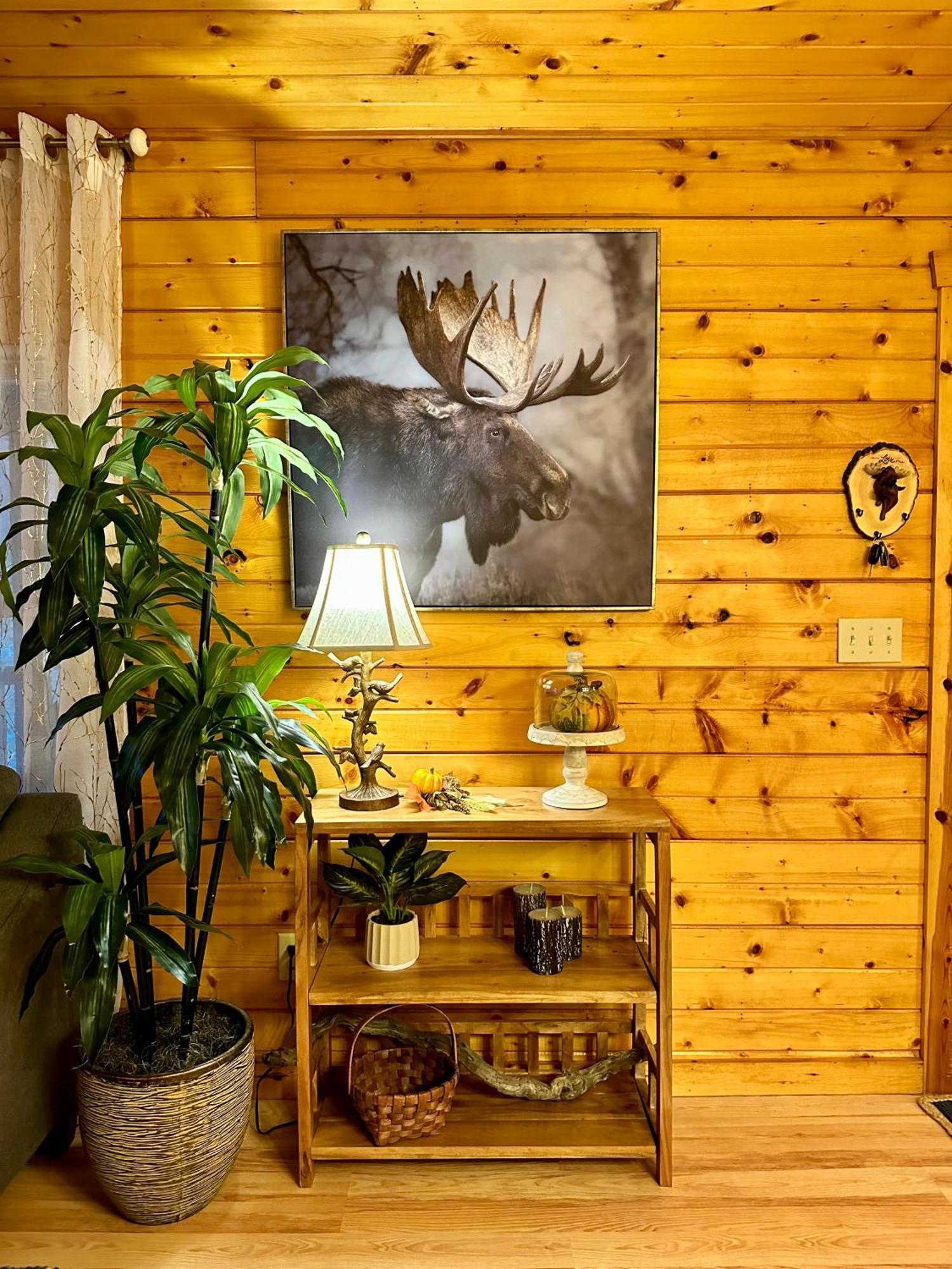Cozy Cabin In Red River Gorge Rogers Exterior foto